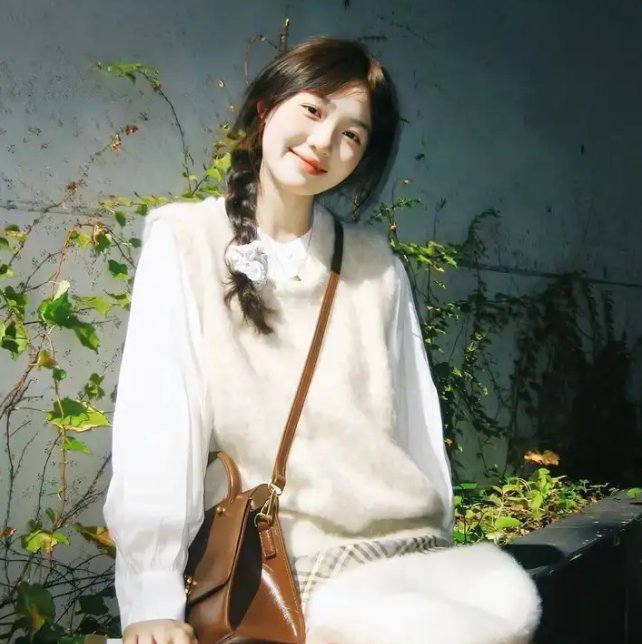 哥斯拉对美加洛